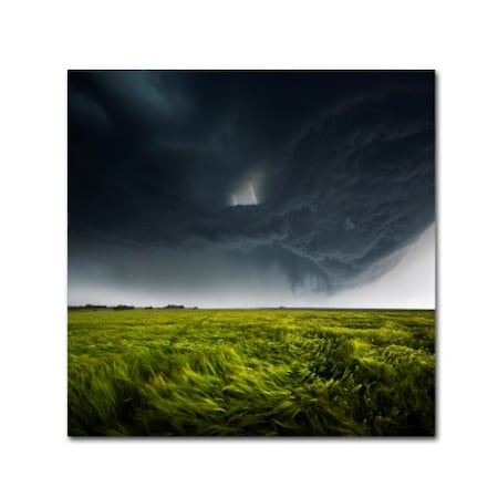 Franz Schumacher 'Sommergewitter02' Canvas Art,14x14